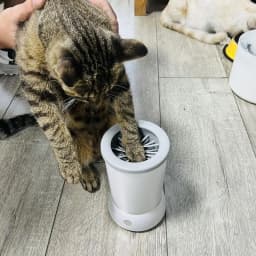 Pet Paw Washer With Charging cable USB Electric Paw Cleaner Automatic Dogs Foot Cleaning Machine For Dust Dirt Hair Removing