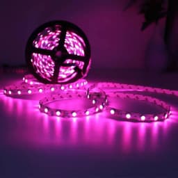 DC12V 5M S Shape 5050 Led Strip Light Flexible Tape RGB 48leds/m White/Warm White 60Led/m LED Strip Light Non-waterproof