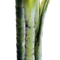 Outsunny 150cm(5ft) Palm Tree Artificial Faux Decor Green Plant Home Office
