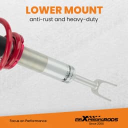 Coilovers Kit for Audi A4 B6 B7 quattro 1.9 TDI 1.8 T 8E 8H Lowering Suspension