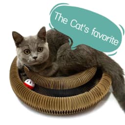 Kitty Curls Cat Toy Unique Active Cat Toys For Indoor Cats Interactive Scratch Pad Cat Toy Recyclable Corrugated Cardboard
