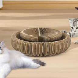 Kitty Curls Cat Toy Unique Active Cat Toys For Indoor Cats Interactive Scratch Pad Cat Toy Recyclable Corrugated Cardboard
