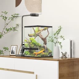 PawHut Glass Reptile Terrarium, 12L Vivarium for Lizards, Frogs, Snakes, Turtles, Tortoises, with Ventilation