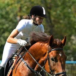 Equestrian Horse Riding Helmet Breathable Durable ABS Safety Half Cover Headgear Breathable Safety Hats For Equestrian Riders 