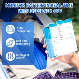 LiFePO4 Battery Pack 12V 100Ah BMS Bluetooth For RV Home Energy EV Solar Rechargeable Lithium Iron Phosphate Batteries GB Stock