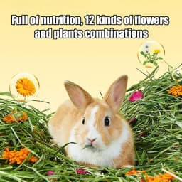 Rabbits Food Hay Safe Natural Grass Hay Bedding For Hamster Healthy Pet Food Improves Digestion For Small Animal Gerbils