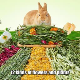 Rabbits Food Hay Safe Natural Grass Hay Bedding For Hamster Healthy Pet Food Improves Digestion For Small Animal Gerbils