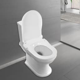 Smart Toilet Seat Cover with Dual Nozzle System Front and Rear Wash Non-electric Design Slow Damping Women Hip Washing