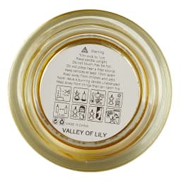 【Lifeideas】Aromatherapy Candles Gift Set for Women Scent Plant Soy Wax Portable Travel Scented Candles Long Lasting scent
