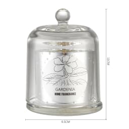 【Lifeideas】Aromatherapy Candles Gift Set for Women Scent Plant Soy Wax Portable Travel Scented Candles Long Lasting scent