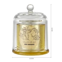 【Lifeideas】Aromatherapy Candles Gift Set for Women Scent Plant Soy Wax Portable Travel Scented Candles Long Lasting scent