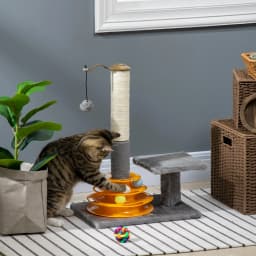 PawHut 56cm Cat Tree for Indoor Cats, Scratching Post with Cat Toys Climbing Tower Activity Centre, Dangling Ball - Grey