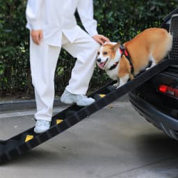 Tieker Folding Pet Car Ladder Portable Pet Dog Stair Ramp Non-slip Medium-sized Dog Car Stairs