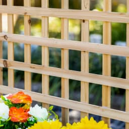 Garden Planters with Trellis for Climbing Vines Indoor Outdoor Natural