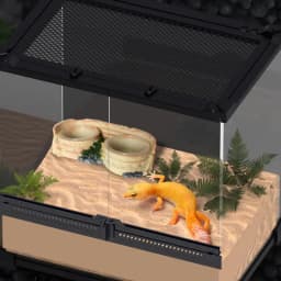 Reptile Feeding Double Bowl Resin Water Dish For Gecko Reptile Feeding Station For Lizards Chameleons Tree Frogs And Small Pets