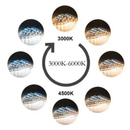 DC 12V 24V Double Row 2835 CCT Dual White+Warm White LED Strip 240LEDs/m 336LEDs/m 12mm PCB 5M Flexible Tape Ribbon WW CW