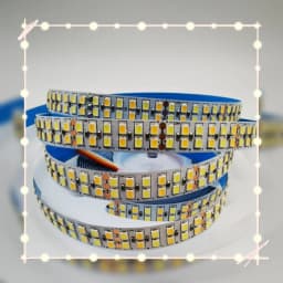 DC 12V 24V Double Row 2835 CCT Dual White+Warm White LED Strip 240LEDs/m 336LEDs/m 12mm PCB 5M Flexible Tape Ribbon WW CW