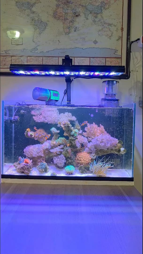 PopBloom H54 WiFi Marine Aquarium Light 60W Fanless Full Spectrum LED Aquarium Light APP Programmable Lamp For Marine Saltwater