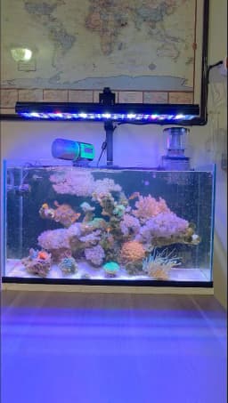 PopBloom H54 WiFi Marine Aquarium Light 60W Fanless Full Spectrum LED Aquarium Light APP Programmable Lamp For Marine Saltwater