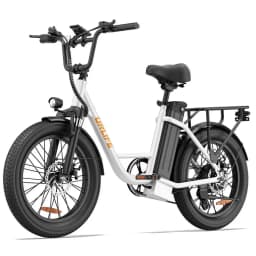 E20 Adult Electric Bicycle 250W Motor Ebike 48V 13Ah Battery Commute Electric Bike 20-inch Fat Tire City E-bike