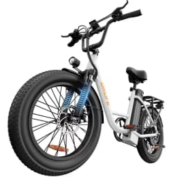 E20 Adult Electric Bicycle 250W Motor Ebike 48V 13Ah Battery Commute Electric Bike 20-inch Fat Tire City E-bike