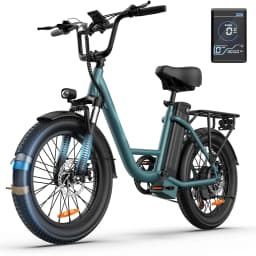 E20 Adult Electric Bicycle 250W Motor Ebike 48V 13Ah Battery Commute Electric Bike 20-inch Fat Tire City E-bike
