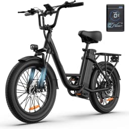 E20 Adult Electric Bicycle 250W Motor Ebike 48V 13Ah Battery Commute Electric Bike 20-inch Fat Tire City E-bike