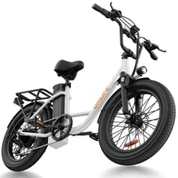 E20 Adult Electric Bicycle 250W Motor Ebike 48V 13Ah Battery Commute Electric Bike 20-inch Fat Tire City E-bike
