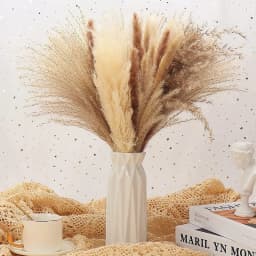 60-100PCS Natural Dried Pampas Grass Bouquet Boho Home Nordic Decor Bouquet Phragmites Dried Flowers Bouquet Wedding Decor