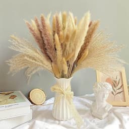 60-100PCS Natural Dried Pampas Grass Bouquet Boho Home Nordic Decor Bouquet Phragmites Dried Flowers Bouquet Wedding Decor