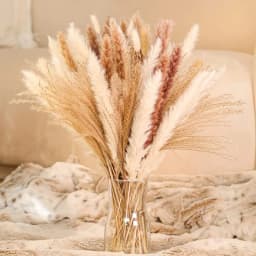 60-100PCS Natural Dried Pampas Grass Bouquet Boho Home Nordic Decor Bouquet Phragmites Dried Flowers Bouquet Wedding Decor