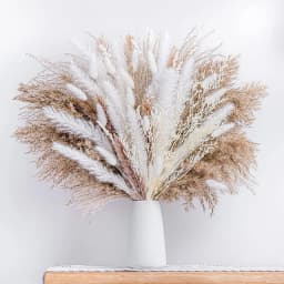 60-100PCS Natural Dried Pampas Grass Bouquet Boho Home Nordic Decor Bouquet Phragmites Dried Flowers Bouquet Wedding Decor