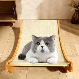 Anti-cat Sisal Scratching Pad Wear-resistlant Cats Lounge Chair Sleeping Bed Kitten Training Grinding Pet Toys