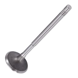 16 Valves Exhaust Valve for Audi A1 A2 A3 for VW Beetle Eos Golf 036109601AD 036109601S 036109611K