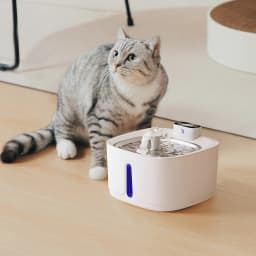 Tieker Large Capacity Pet Smart Drinking Fountain Silent Cat Dog Pet Automatic Filtered Drinking Fountain