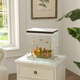 PawHut Small Fish Tank with Filter System, LED Lights, Water Pump, White
