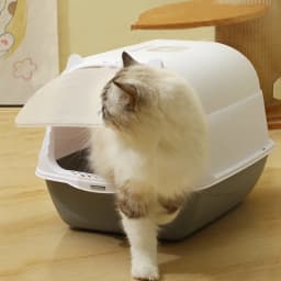 Tieker Extra Large Removable Enclosed Cat Litter Box Pet Cat Toilet Litter Box with Cat Litter Scoop Deodorant and Splash-proof