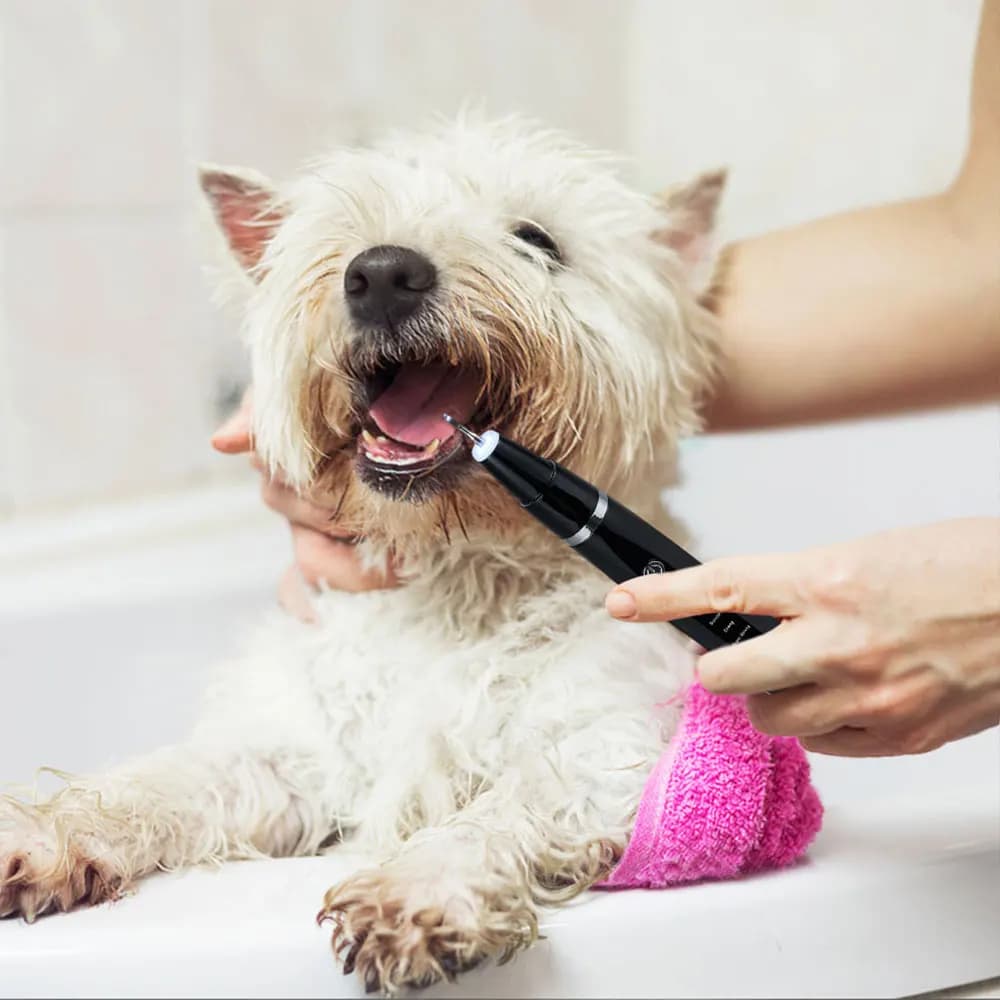 Tieker Ultrasonic Pet Teeth Cleaner Set Cat Dog Grooming Teeth Cleaner Oral Whitening Cleaning Tool Pet Electric Toothbrush