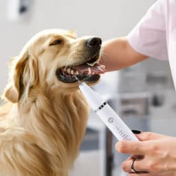 Tieker Ultrasonic Pet Teeth Cleaner Set Cat Dog Grooming Teeth Cleaner Oral Whitening Cleaning Tool Pet Electric Toothbrush