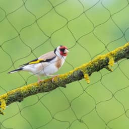 30m x 15m Bird Netting Strong Reusable Pond Fruit Anti Net Protection Veg Net for Large Ponds Fruit Trees Crop Plants Vegetables