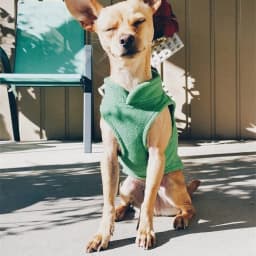 Pet Dog Warm Coat Fleece Jacket Jumper Sweater Winter Clothes Puppy Vest Outfits