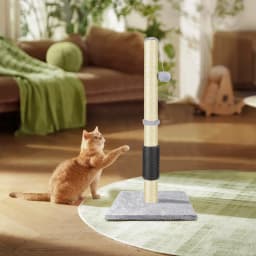 Cat Scratching Post & Activity Centre - 80cmTall Kitty Climbing Tree with Sisal Rope, Hanging Ball & Carpet Covered Heavy Base