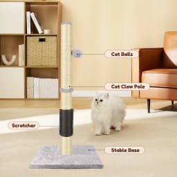 Cat Scratching Post & Activity Centre - 80cmTall Kitty Climbing Tree with Sisal Rope, Hanging Ball & Carpet Covered Heavy Base
