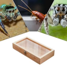 Wood Specimen Display Case Butterfly Frame Case Earrings Rings Necklaces Organizer Holder Display Case Specimen Showcase With