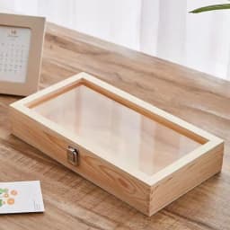 Wood Specimen Display Case Butterfly Frame Case Earrings Rings Necklaces Organizer Holder Display Case Specimen Showcase With