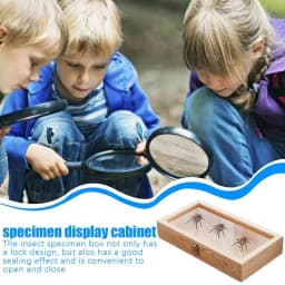 Wood Specimen Display Case Butterfly Frame Case Earrings Rings Necklaces Organizer Holder Display Case Specimen Showcase With