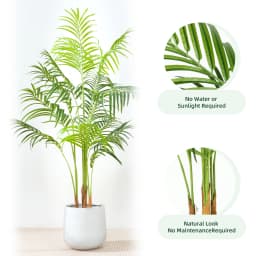 mcc direct Artificial Palm Tree with Plastic Planter and Artificial Moss for House Bedroom Office Garden Store Decoration