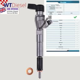 Citroen Renault Nissan Injector | 1.5 DCI | OE H8200704191 166004305R