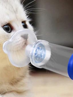 Aerosol Chamber Inhaler for Cats And Dogs Veterinary Animals Aerosol Pet Asthma Inhaler Spacer Devices for Small Dogs Cats