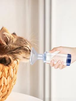 Aerosol Chamber Inhaler for Cats And Dogs Veterinary Animals Aerosol Pet Asthma Inhaler Spacer Devices for Small Dogs Cats